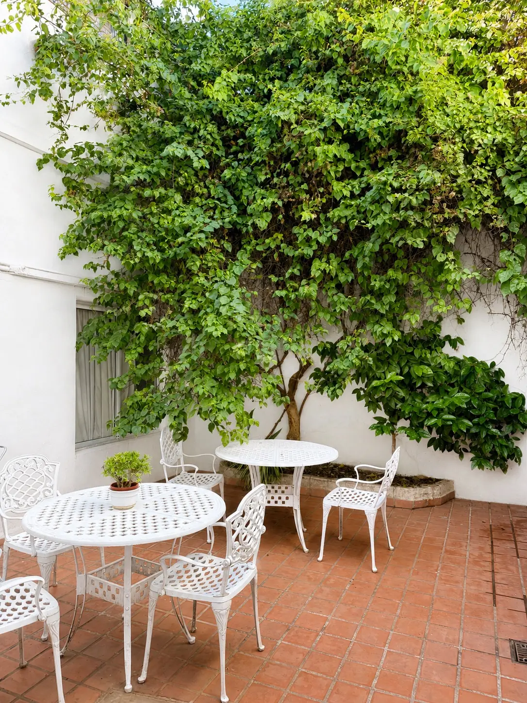 Patio con mesas y sillas blancas de hierro bajo una enredadera que cubre la pared, con piso de baldosa colorada