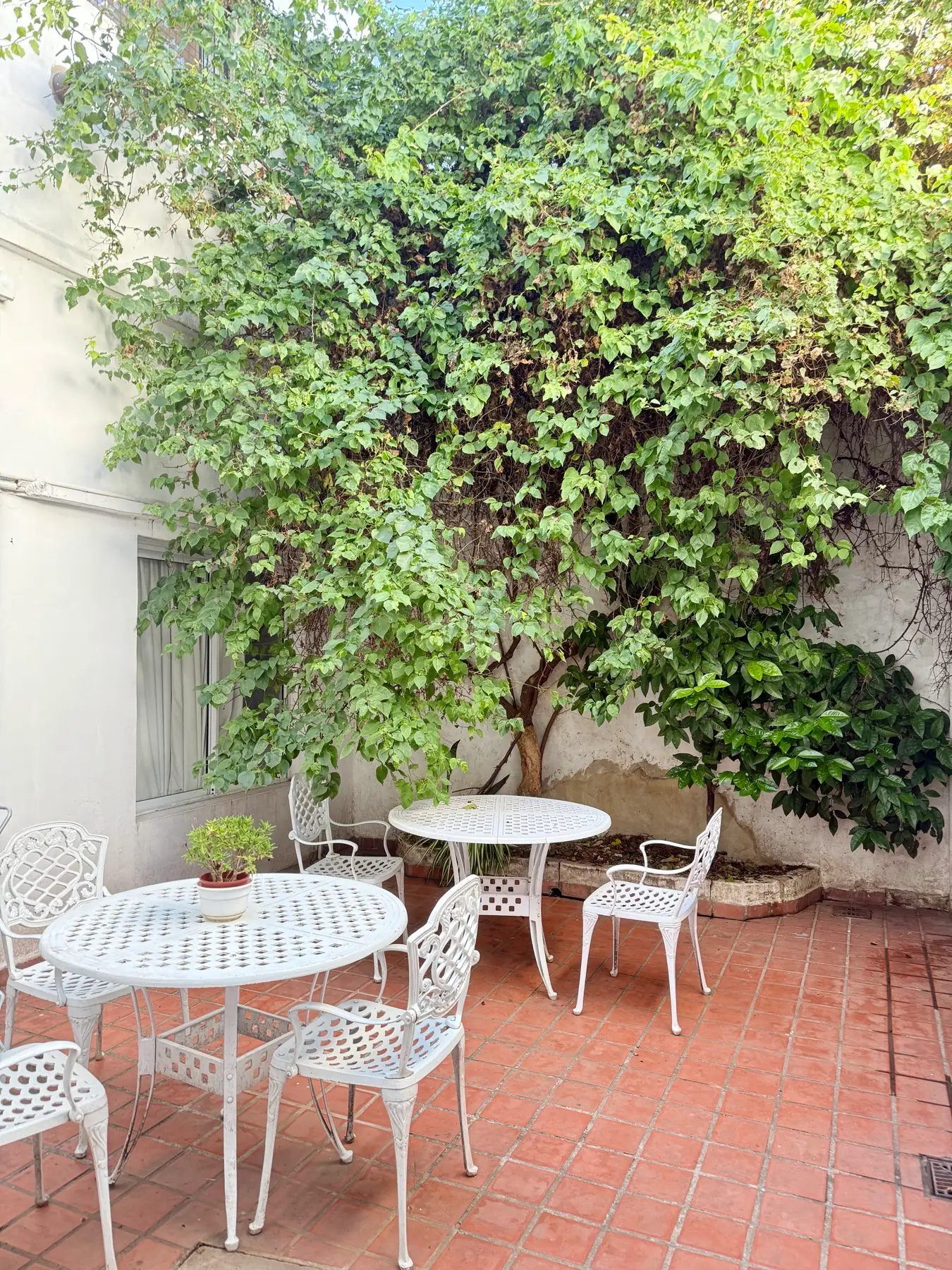 Patio con mesas y sillas blancas de hierro bajo una enredadera, con piso de baldosa colorada