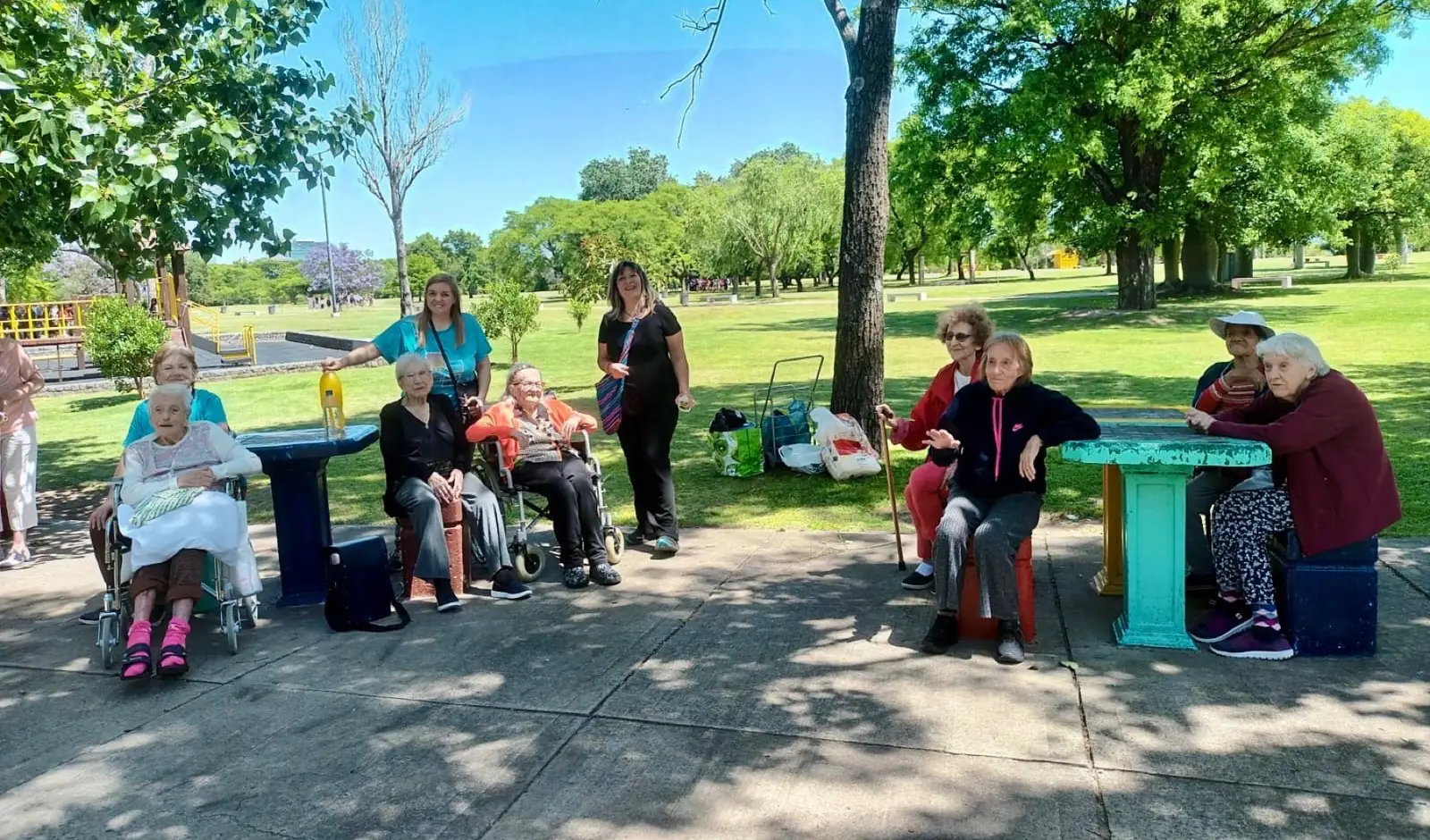 Salida recreativa a un parque: residentes y personal de la residencia reunidos alrededor de mesas al aire libre bajo los árboles
